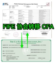 FIFE Association transfer CFA