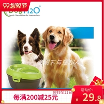 DogH2O Meow Spring Wang Zhiquan automatic water dispenser large capacity 6L big dog drinking water multiple cat pets