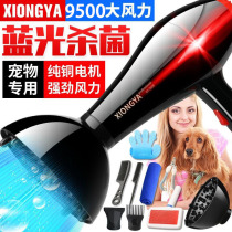 Xiongya pet hair dryer High power dog bath hair blowing artifact Teddy large and small dog dryer Water blower