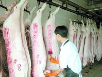 Food grade raw pork carcass tattoos stamp stamp stamp oil printing mud animal quarantine qualified Food Pigment Red Blue