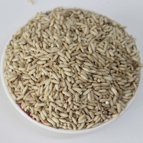 Rough glutinous rice Guangdong Hakka native products new brown rice wine month sweet wine farmers self-grown grains 5kg