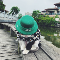 Pet spoof green hat forgive honest people Summer cute cat dog straw hat big dog straw hat