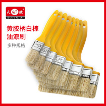 Talent paint brush yellow rubber handle paint paint latex paint cleaning brush wall tools 1-6 inch pig brush 5