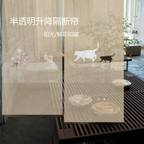 Heterochromatic soft screen Soft partition curtain hanging screen Modern Chinese living room transparent hanging curtain 0480 flower catwalk