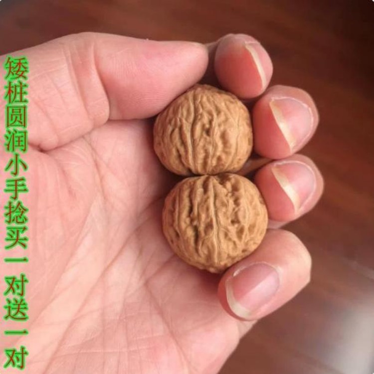 ❤️新入荷❤️No.643❤️文玩くるみ（文玩核桃） 高級希少種九月元宝 元宝文玩核桃-元宝文玩核桃促销价格、元宝文玩核桃品牌- 淘宝
