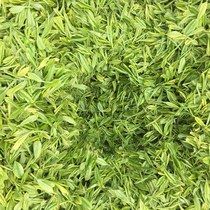 Anji white tea 2021 new tea Before the rain Alpine white tea spring green tea leaves tea farmers direct sales 250g iron box