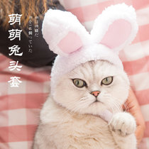 Knock cute rabbit chirp Cat headgear Collar Rabbit collar headdress Photo funny props Cat hat Rabbit ears