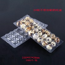 24 pieces 30 pieces 20 pieces of disposable thickened quail egg tray plastic quail packaging gift box transparent shockproof tray