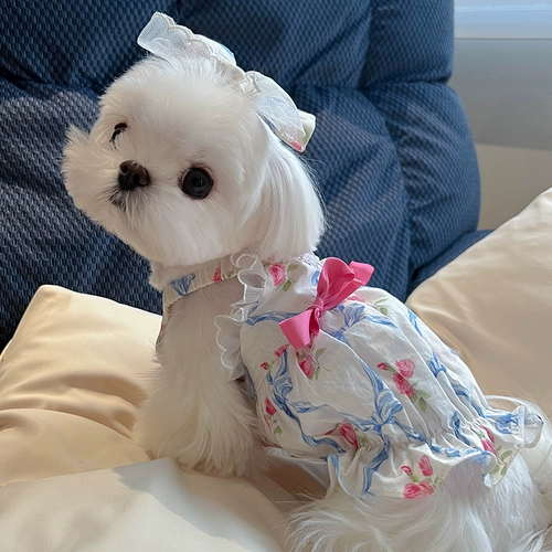 Домашняя одежда для собаки тыква тыква платье принцесса, маленькая собака, мальзис, боми, милый