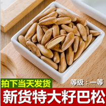2020 New big seed Brazilian pine nuts Premium large particles hand-peeled pine nuts Pakistan containing cans 500g