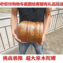 Medium Aged Fitness Solid Wood Sophori Wood Top Toy Ice Monkey Ice Gaga Wood Old Bull Children Adult Send Whip and Whip Rope