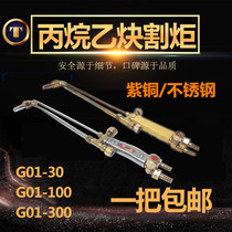 Tai Xing Full Copper G01-30 100300 Type Shooting Suction Type Cutting Torch Cutting the stainless steel oxygen cutting gun