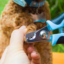 Pet nail clipper Dog nail clipper Nail clipper Large medium and small dog Cat nail clipper