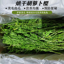 Drying Carrot Cherry Rabbit Dragon Cat Guinea Pig Health Care Pasture Snack Supplement Vitamin Gross 500g