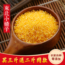 2021 Northeast New Xiaoduzi 500g Heilongjiang Corn Dregs Farmers Self-planted Coarse Grain Fresh Corn Grits