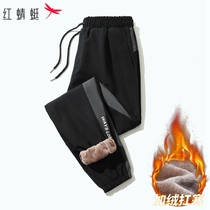 Red Dragonfly Winter Gush Cotton Pants Men Warm Outside Wearing 2022 New Men Casual Long Pants 100 Hitch Rope