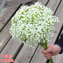 Emulation Full Star bouquet fake flower little fresher living-room decoration put up wedding movie The brides hand holds a floral plastic flower