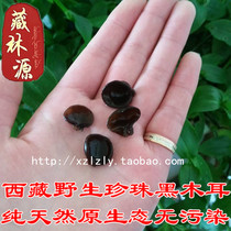 Tibet Nyingchi specialty wild black fungus cloud ear small fungus Pearl fungus pollution-free 2 pieces