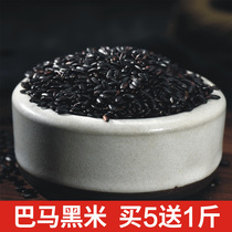 Buy 5 get 1 catty Bama black rice farm longevity rice black rice than Donglan ink rice five grains dry goods 500g