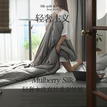 Light extravagant double palace cocoon mulberry silk quilt 100% mulberry silk quilts by a single air conditioner by the spring and autumn quilt core summer quilt