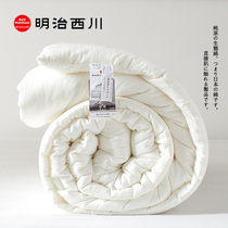  Export Japan cotton class A spring and autumn quilt core winter single double winter quilt warm four seasons air-conditioned quilt quilt quilt quilt quilt quilt quilt quilt quilt quilt quilt