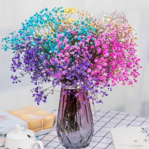 Yunnan starry dried flower bouquet with vase Living room decoration decoration small fresh air-dried inserted real flower home furnishings
