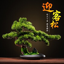 Simulation plant small potted indoor home decoration Fake flower pine tree green plant desktop decoration Welcome pine creative bonsai