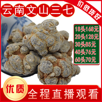Yunnan Wenshan Sanqi 20 heads 30 heads 40 heads Spring Sanqi Tian Qi 500g can be used to grind Panax powder