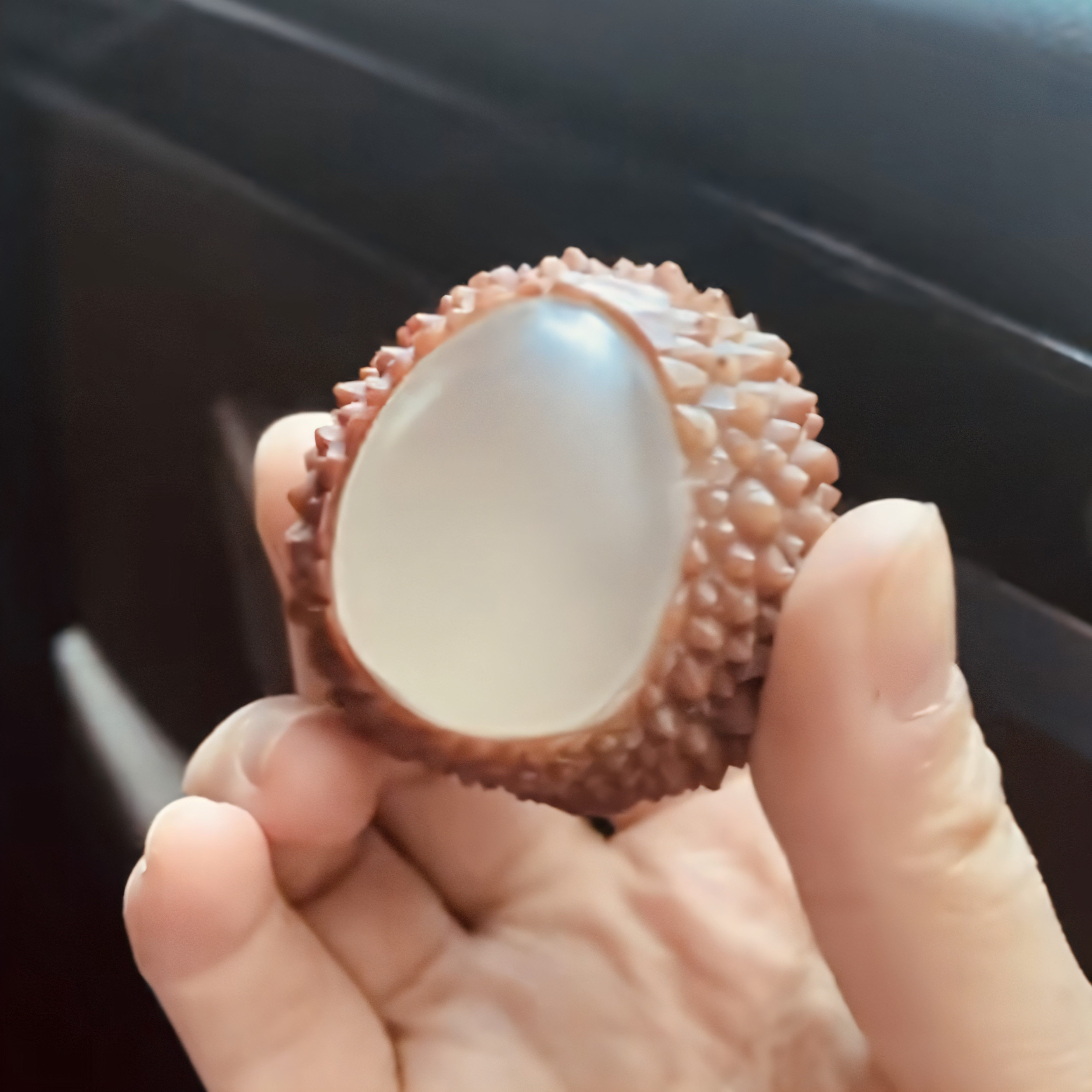 寿山石荔枝-寿山石荔枝促销价格、寿山石荔枝品牌- 淘宝