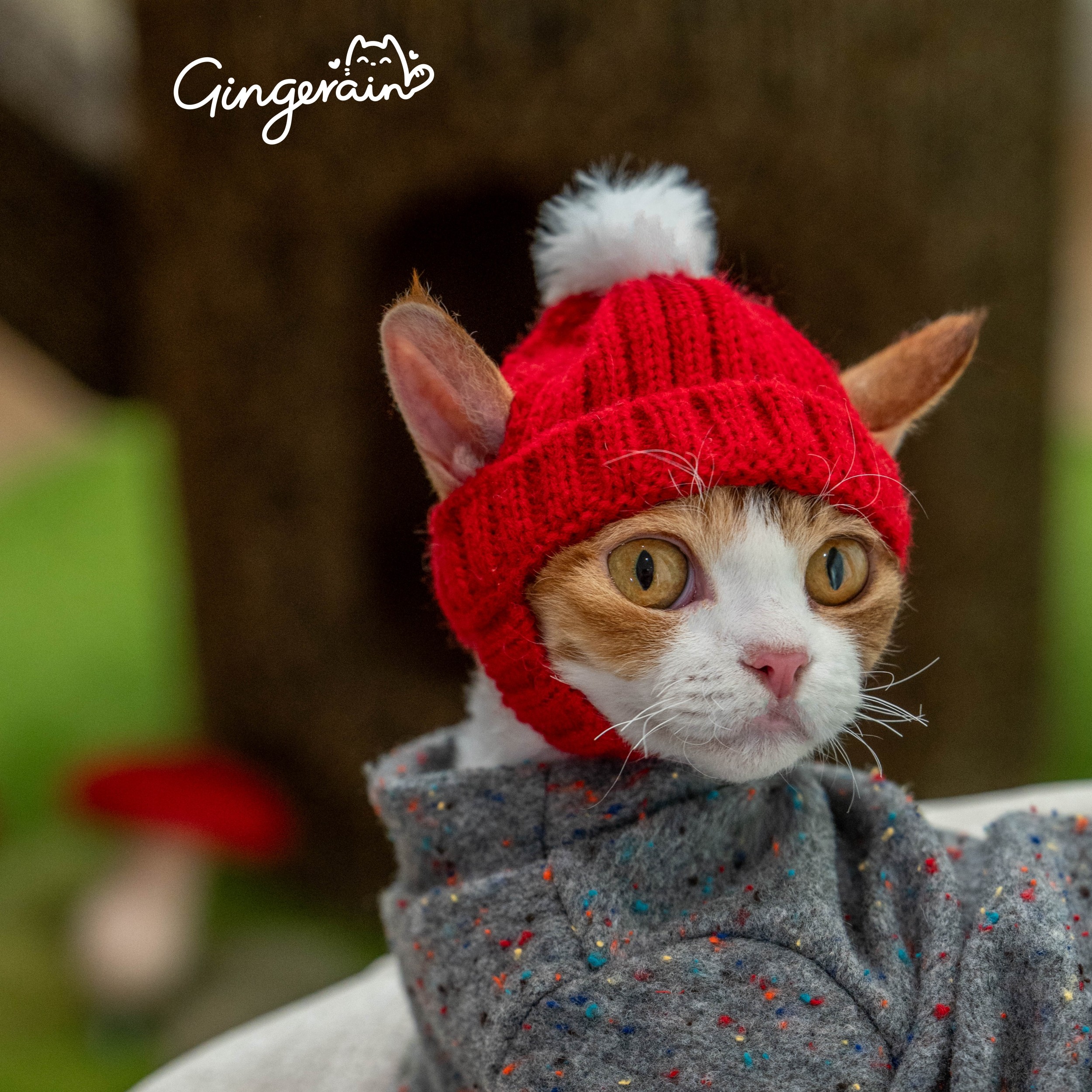 从德文猫帽看人类与宠物的共情艺术：温暖、时尚与陪伴的完美结合_保暖服装_淘宝服装网, image size:2500x2500