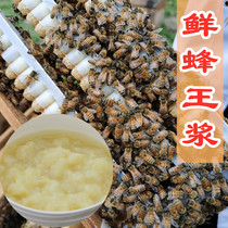 Fresh royal jelly 500g to send honey Farmhouse deep mountain flower-shaped royal jelly bee milk can be shipped by air SF