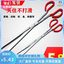 Stainless steel eel clip Eel clip Loach crab pliers Non-slip anti-off catch special tools Catch Poseidon