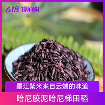 Yunnan Province Zhengzong Musang Purple Rice New Rice Blood Glutinous Rice Whole Embryo 5 Cati Box Black Rice Coarse Grain 5 Cereals Grain Cereals