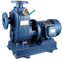 BZ type direct-connected self-priming pump 65BZ-15 65BZ-20 65BZ-30 80BZ-30 water pump