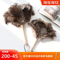 At the beginning of the art the feather duster household electrostatic ash artifact dust dusting dust dusting soft ostrich hair cleaning cleaning cleaning