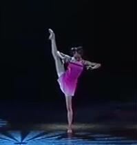 Dragon Fly Phoenix Dance Flower In Flute drama ethnic dance solo dance with a hand custom rental