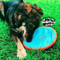 Petmate Pet Toy Chuckit Dog Training Tour Toy Para Frisbee Nylon Rubber training disc