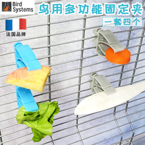 Bird system Multi-function fixed clip for birds Parrot supplies Snacks Fruit fork cuttlefish bone vegetable clip Small clip