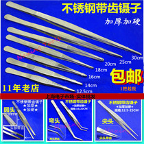 Stainless steel dressing tweezers round head with teeth tip bent water grass clip 12 5141618202530 273848CM