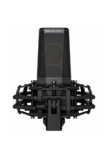 ISK IKG3000 condenser microphone shaking network K song computer recording microphone live K song special microphone