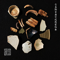 Song Dynasty Jianzhan blue and white porcelain fragments specimen collection of paleontological horse tooth wild boar and other dental porcelain specimens