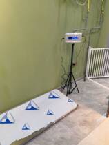 300kg large platform stainless steel pet weight scale pet hospital animal clinic kennel electronic weight scale