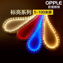 Op light with led neon strip colorful color changing Line light living room ceiling decorative patch super bright light strip