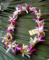 Hawaiian hula garland Dance props Neck ring Performance props accessories Beach accessories Hula garland
