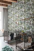  Grammy American modern background Panther 220122 wallpaper