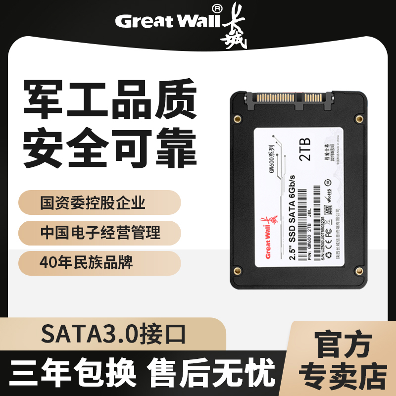 Great Wall (万里の長城) 純正ソリッドステートドライブ 1TB2TB デスクトップノート 高速SSD4TB 新品