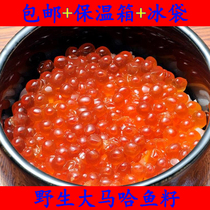 Salmon roe Wild fresh salmon roe Caviar Caviar Specialty of Fuyuan Heilongjiang