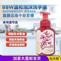 Canadian direct mail BBW antibacterial foam Bathbody works hand sanitizer does not hurt hands 259ml
