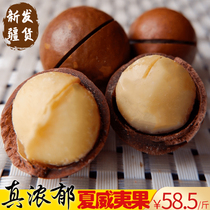 Xinjiang specialty 2021 New Hawaiian fruit cream flavor dried nuts pregnant women casual snacks nuts 500g