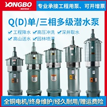 Submersible pumps 220v Home Multi-level pumps Agricultural large flow Irrigation Small Rat Deep Well High-pressure Pumping Water Pump High Lift